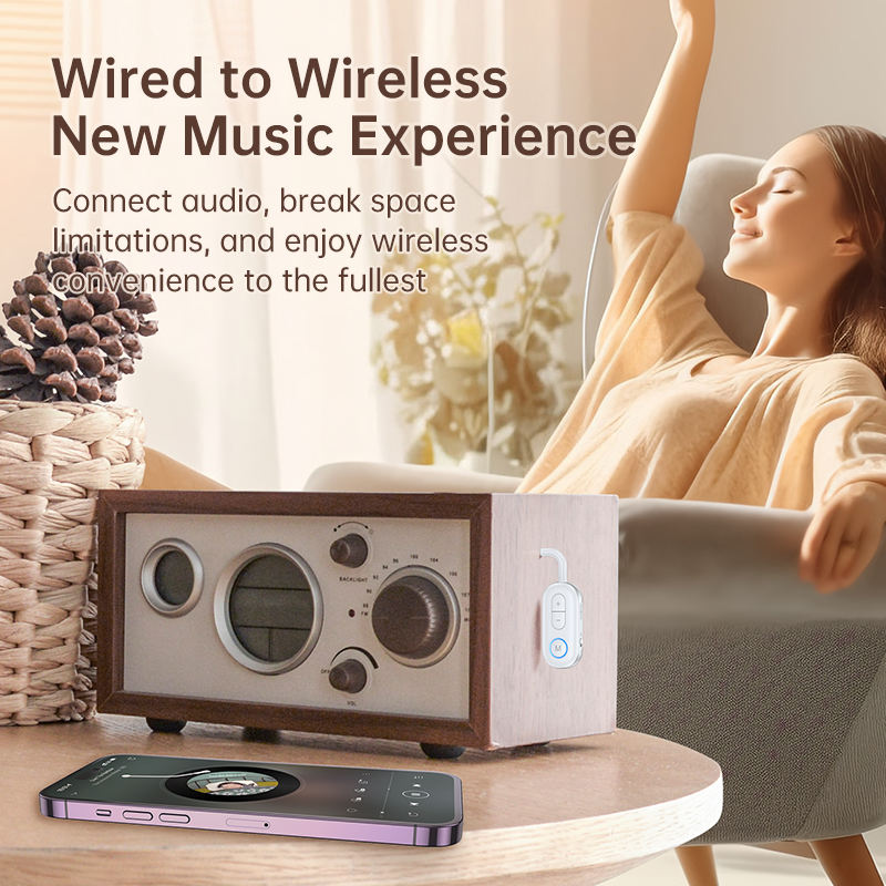 Bluetooth 5.3 Audio Transmitte - đánh giá và giá Desk Hifi Setup